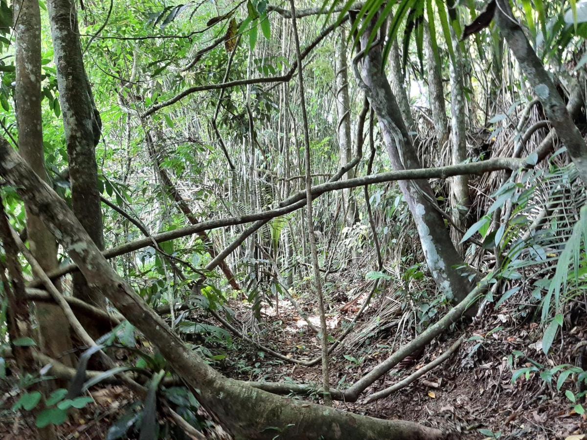 Casa Rosa Lumiar, Cachoeira Particular E Fazendinha Kültér fotó